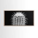 Cactus Spines, southwest wall art, desert art, botanical prints, geometric wall art, nature photography, sharp contrast, Framed Canvas Print
