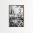 Windblown Trees, stormy sky, moody landscape, wabi sabi art, black and white, framed canvas print, rustic decor, nature photography