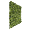 Sample Panel – Natural Boxwood Green Wall (Small Sample)