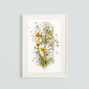 White Daisies 100-103 Counted Cross-Stitch Kit