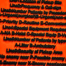 Storage Pocket Patch: Nine Line MedEvac