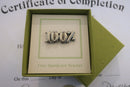 100% Lapel Pin