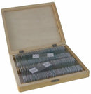 Prepared Slides 100 Piece Set