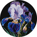 Painting by Numbers kit Delicate irises KHO-R1021