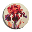 Painting by Numbers kit Magic iris KHO-R1023