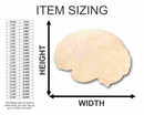 Unfinished Wood Brain Shape - Science - Craft - up to 46" DIY