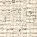 Vintage Map of Roseau County, Minnesota 1911