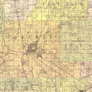 Vintage Map of Bartholomew County, Indiana 1910