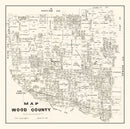 Vintage Map of Wood County, Texas 1877