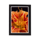 Black Greeting Card | Multiple Designs | KJ Made