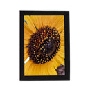 Black Greeting Card | Multiple Designs | KJ Made