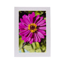 White Greeting Card | Pack of 3 | KJ Made