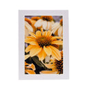 White Greeting Card | Multiple Designs | KJ Made