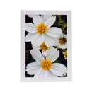 White Greeting Card | Pack of 3 | KJ Made
