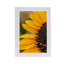 White Greeting Card | Multiple Designs | KJ Made
