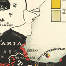 Vintage Map of the Nationalities of the German Alliance 1916