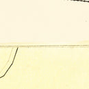 Vintage Map of Union Village, Connecticut 1869