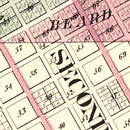 Vintage Map of Beardstown, Illinois 1874