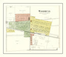 Vintage Map of Woodhull, Illinois 1893