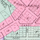 Vintage Map of Wild Rose, Wisconsin 1906