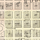 Vintage Map of Seward, Nebraska 1908