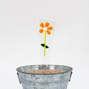 Glass Flower Splinter Art | Springfield Artworks