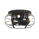 12" Flush Mount Low Profile Caged Small Ceiling Fan with Light and Remote Control