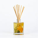 Accent Botanical Reed Diffuser - Harvest Pumpkin