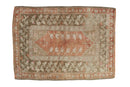 3x4 Vintage Distressed Melas Square Rug