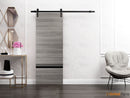 Planum 0012 Ginger Ash Barn Door and Black Rail