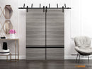 Planum 0012 Ginger Ash Double Barn Door and Black Bypass Rail
