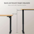 Electric Height Adjustable Standing Desk 55x24 Memory Preset
