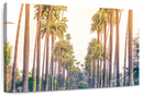 Palm Trees In Los Angeles Wall Art