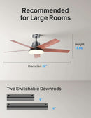 52 Inch Ceiling Fan With Dimmable LED Lights Remote