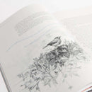 The Secret Garden Art Novel™
