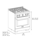 ZLINE 30"Paramount Dual Fuel Range Stainless Steel, Brass Burner, SDR-BR-30