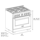 ZLINE 36" Select Gas Range Convection Gas Oven DuraSnow® Stainless Steel Brass Burners HGRS-BR-36