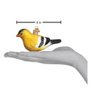Hanging American Goldfinch
