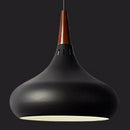 Decorative Lamps And Lanterns Modern And Simple Single Head Solid Wood Chandelier