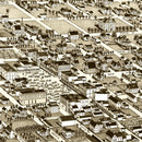 Vintage Map of Hone Grove, Texas 1885