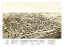 Vintage Map of Hone Grove, Texas 1885