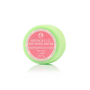 Pink Aloe | Eco Travel Buffer