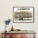 Vintage Map of Kalamazoo, Michigan 1883