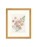 Pastel Peaches