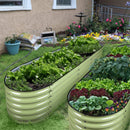 17'' Tall Olle Gardens 12-in-1 Raised Bed, in Sage Green