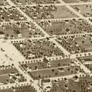 Vintage Map of Owatonna, Minnesota 1870