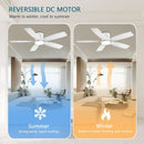 52 Inch Energy Efficient Ceiling Fan With Remote Control