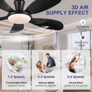 48 Inch Black Ceiling Fan With DC Motor Remote LED