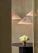 1972 Pendant Lamp