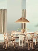 1972 Pendant Lamp
